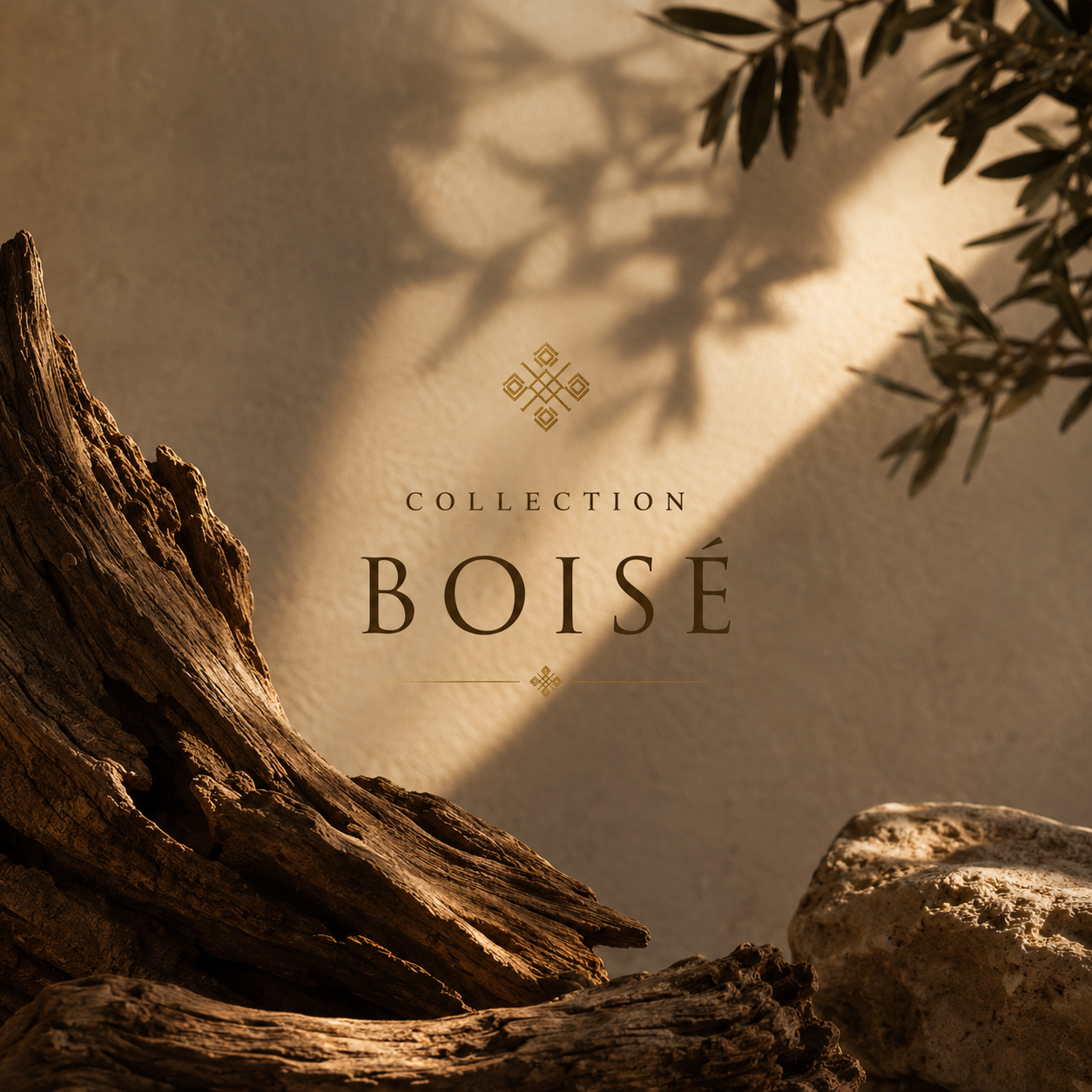 Boisé